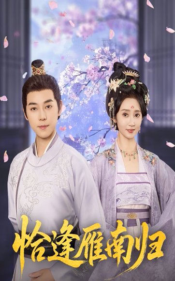 恰逢雁南归（51集）袁志颖＆魏小也 高清完整版