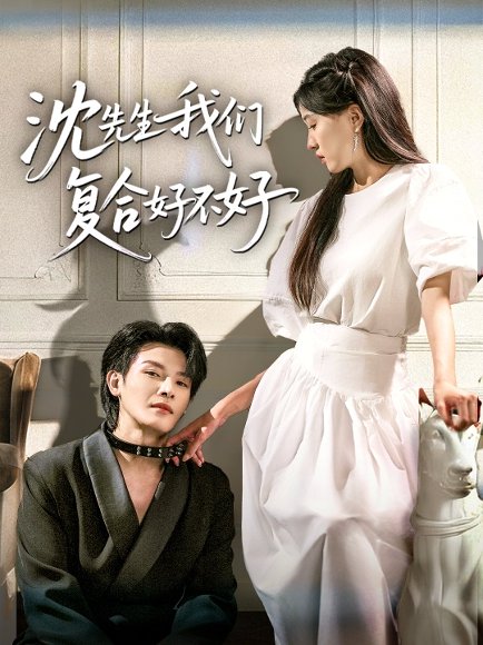 沈先生我们复合好不好（60集）李彬航＆刘玉姣 高清完整版