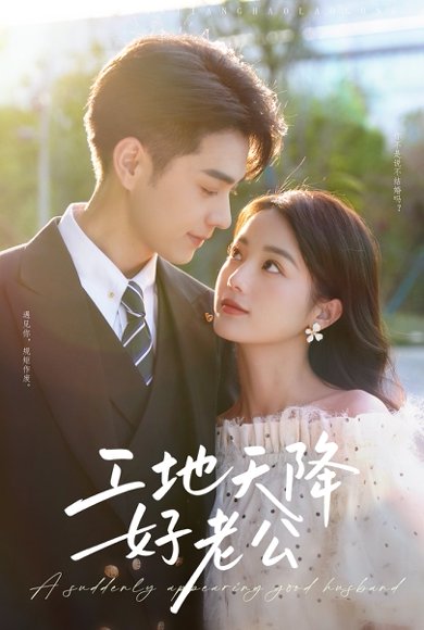 工地天降好老公（60集）王彦鑫&马倩倩 高清完整版